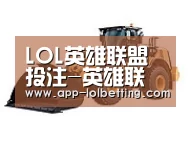 LOL英雄联盟投注 第三系列