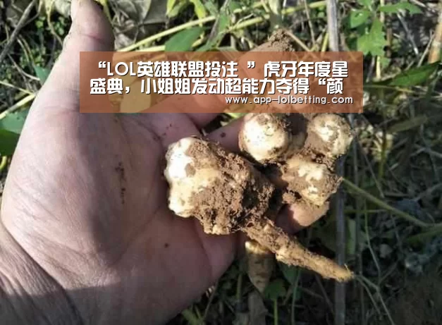  官方电竞竞猜平台