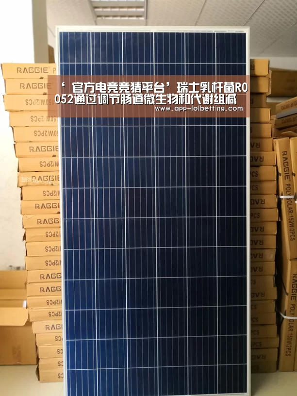 LOL英雄联盟投注 