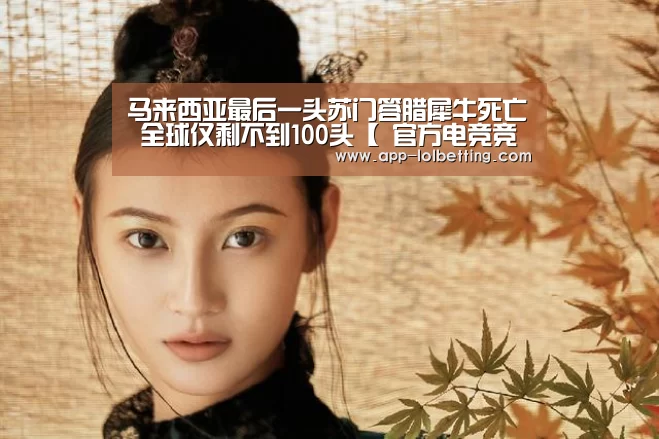  官方电竞竞猜平台