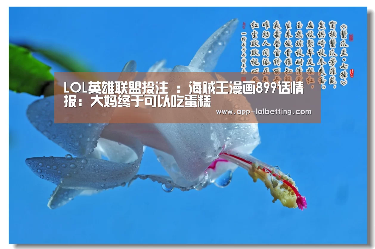 LOL英雄联盟投注 