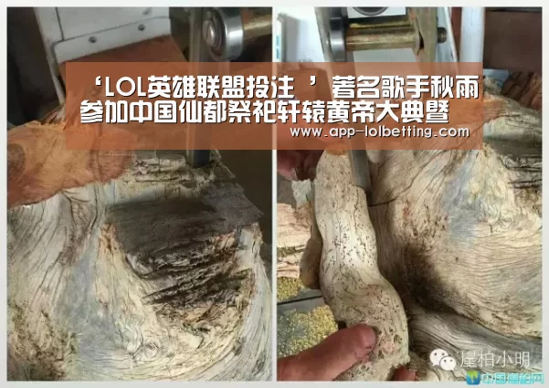  官方电竞竞猜平台