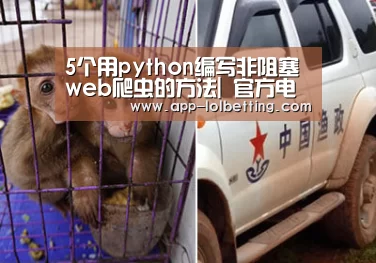  官方电竞竞猜平台